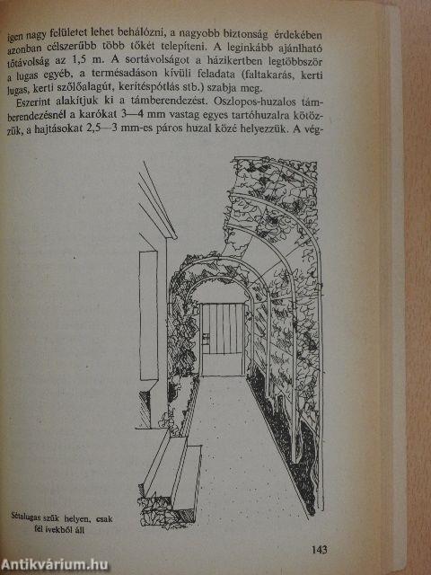 Nagy öröm a kiskert!