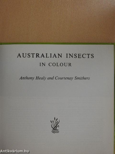 Australian Insects in Colour