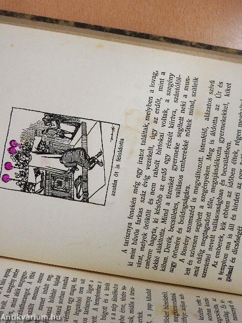 A mesetündér könyvecskéje