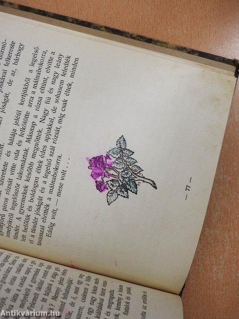 A mesetündér könyvecskéje