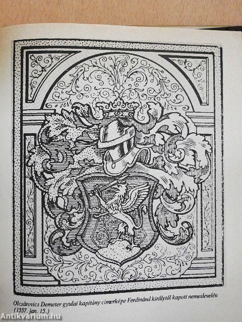 Vég-Gyula várának históriája