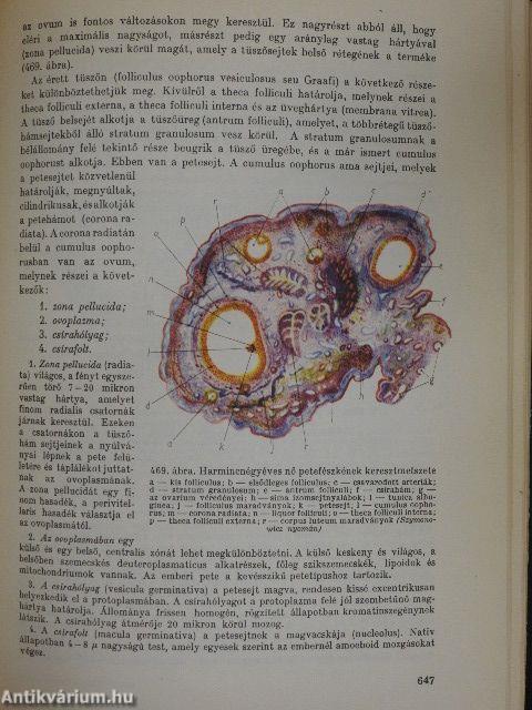 Összehasonlító állatszervezettan 2.