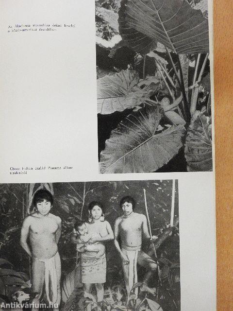 Közép- és Dél-Amerika