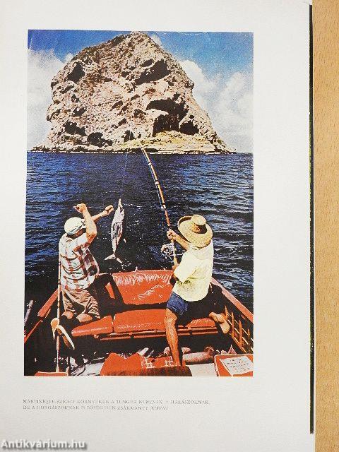 Közép- és Dél-Amerika