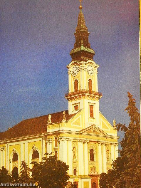 Kecskemét és a kiskunsági puszták