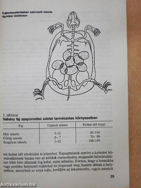 Állatkedvencek tartása és gyógyítása