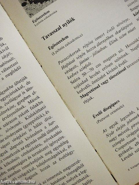 Virágoskert, pihenőkert