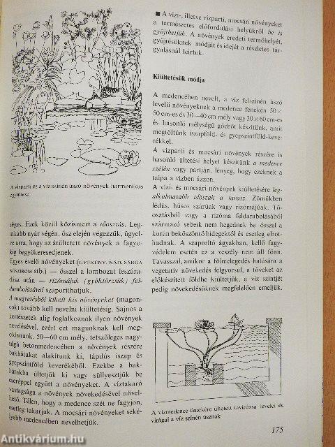 Virágoskert, pihenőkert