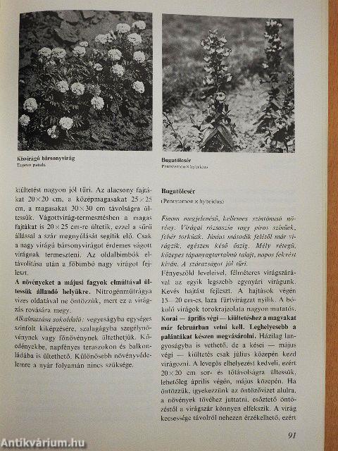 Virágoskert, pihenőkert