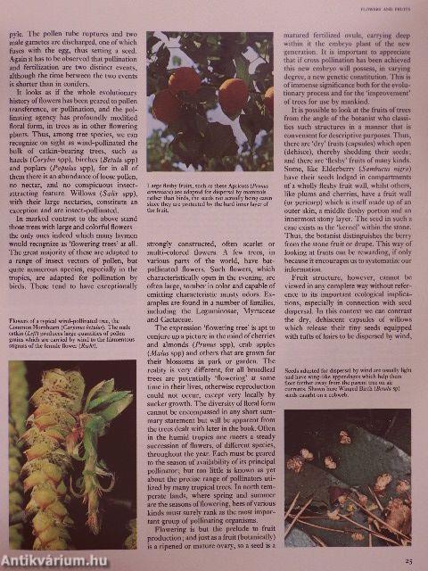 The Oxford Encyclopedia of Trees of the World