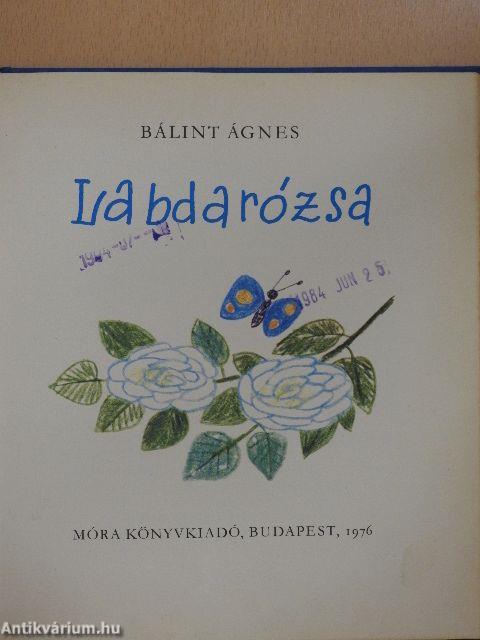 Labdarózsa