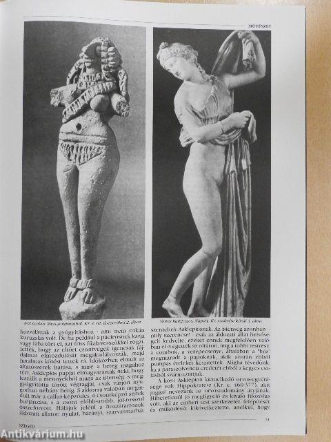 Szeged 2008. április