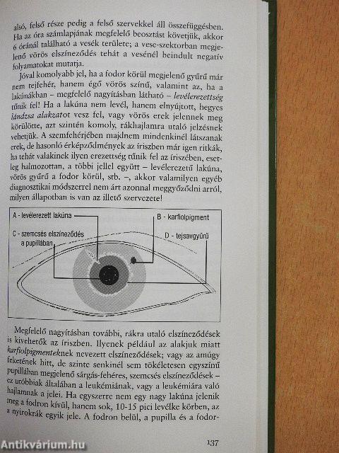 Népbetegségek megelőzése és szelíd gyógymódjai 1.