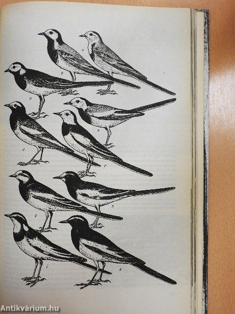 Urania Állatvilág - Madarak