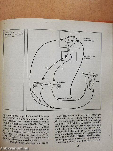 A különleges élőlény