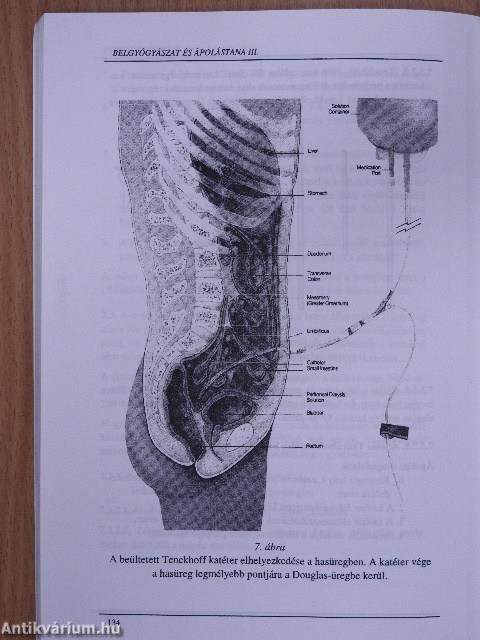 Belgyógyászat és ápolástana III.