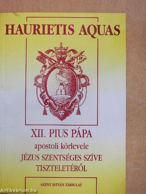 Új evangelizálás és Jézus szíve-kultusz/Haurietis Aquas/A Haurietis Aquas magyarázata