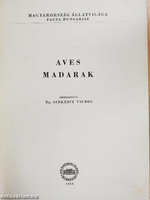 Aves - Madarak