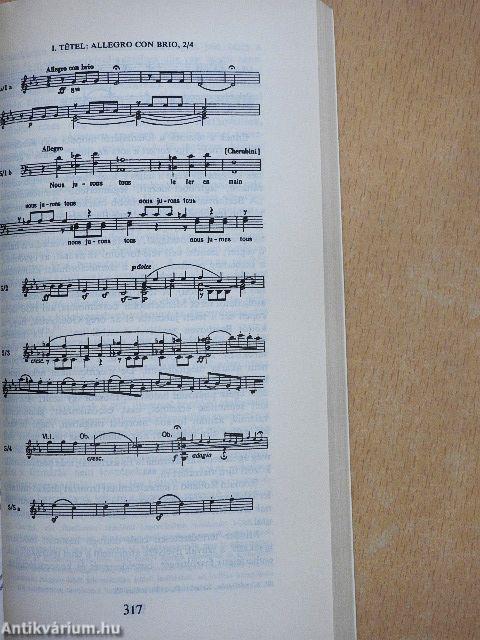 Beethoven és kilenc szimfóniája