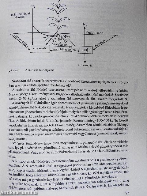 Agrokémia és növényvédelmi kémia