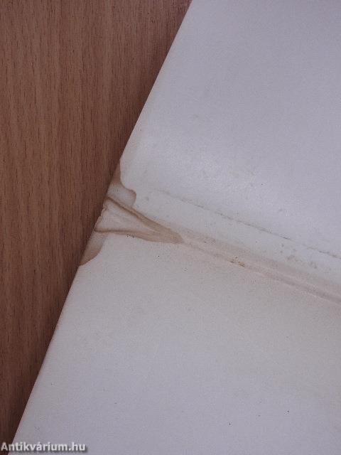 "Kuruc életünket megállván csináljuk..."