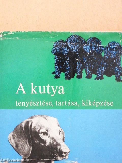 A kutya tenyésztése, tartása, kiképzése