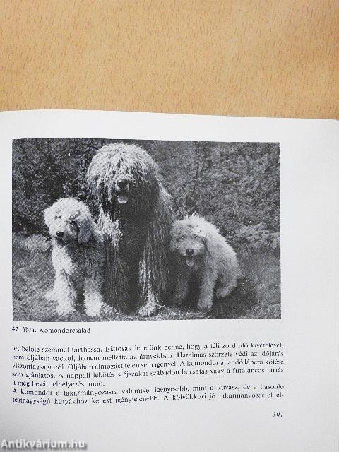 A kutya tenyésztése, tartása, kiképzése