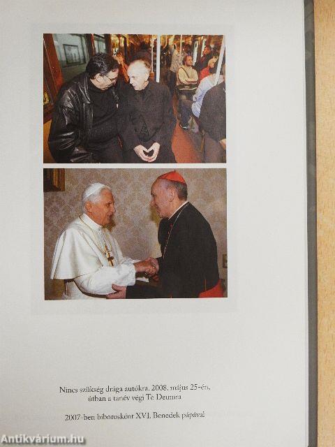 Ferenc pápa küldetése