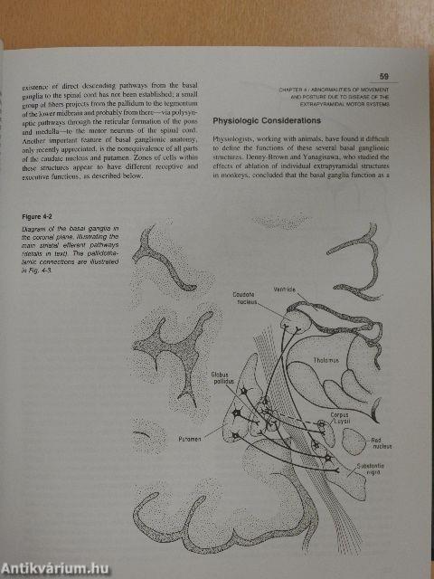 Principles of Neurology