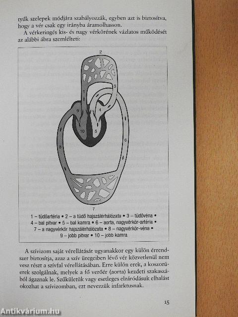 Népbetegségek megelőzése és szelíd gyógymódjai 2.