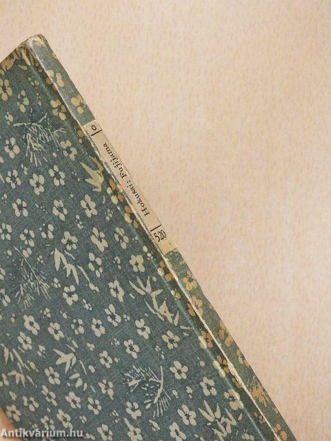 Fujijama der ewige berg Japans