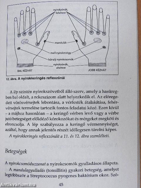 Kézreflexológia