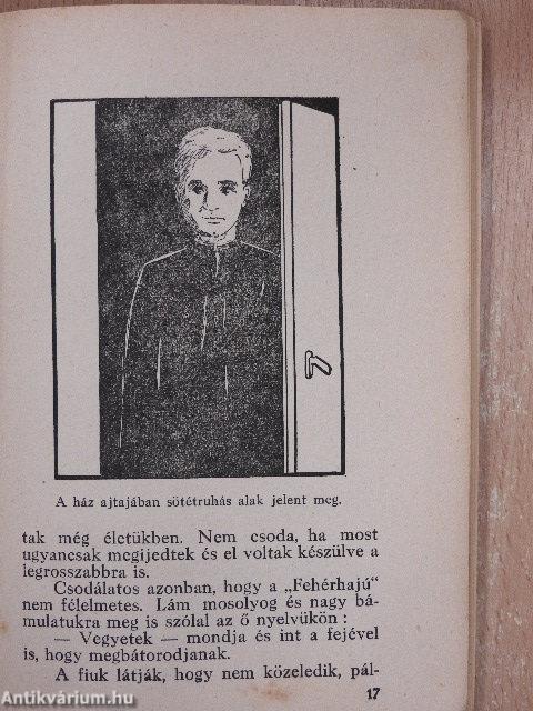 A titokzatos ház