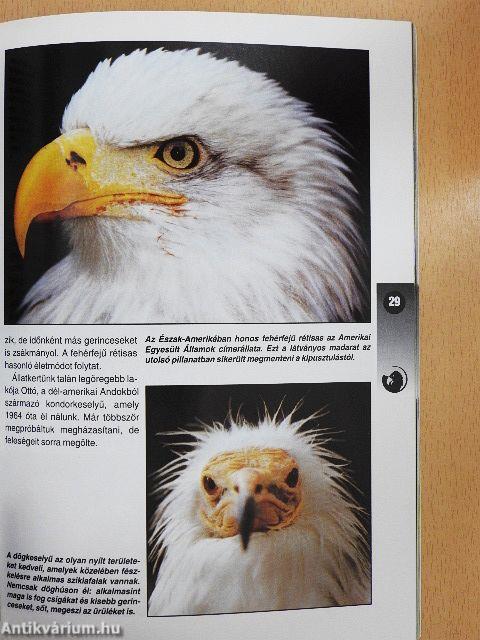 Az életkert csodái