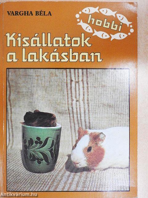 Kisállatok a lakásban