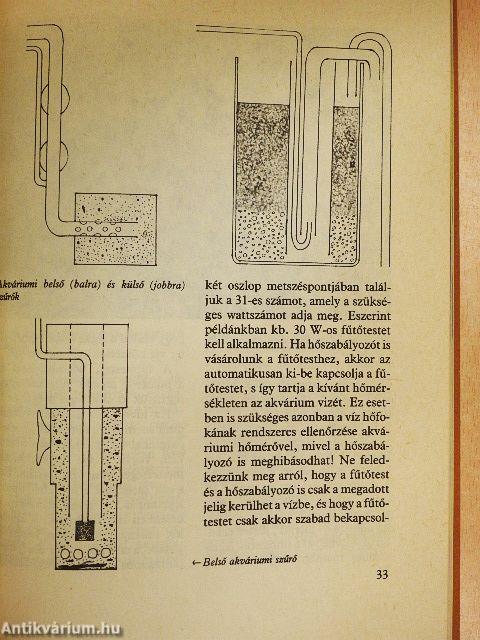 Kisállatok a lakásban