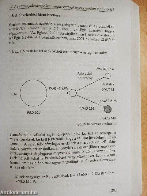 Bevezetés a pénzügyi és vállalati pénzügyi számításokba