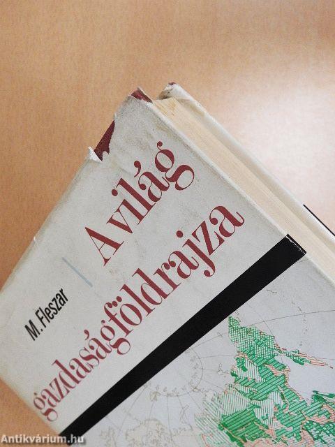 A világ gazdaságföldrajza