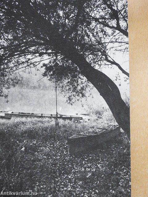 Nagy ezüst országút