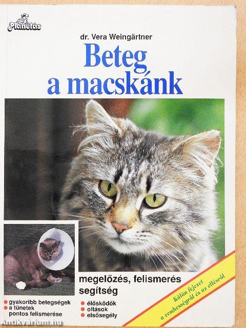Beteg a macskánk