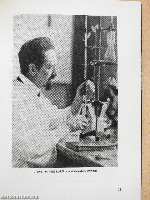 Rickettsiák és chlamydiák okozta betegségek