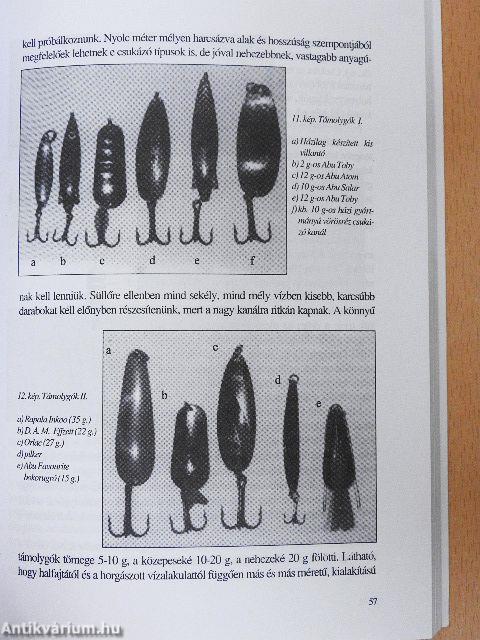 Horgászismeretek kezdőknek és haladóknak