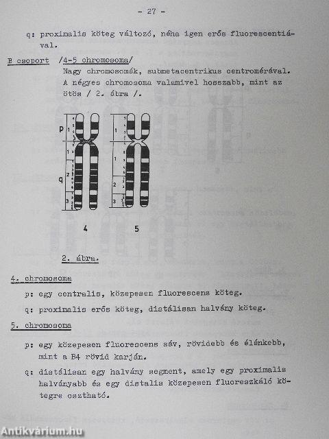 Bevezetés a klinikai genetikába