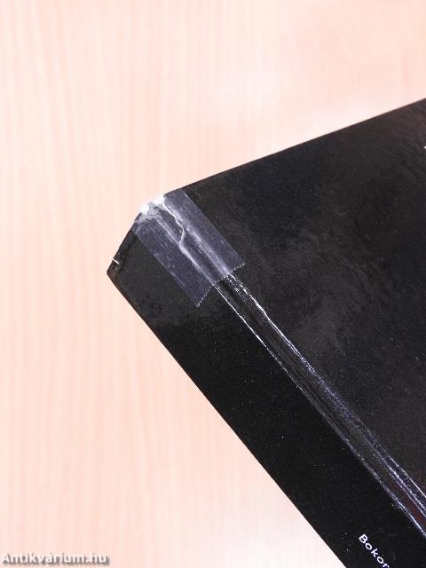 Végjáték a Duna mentén