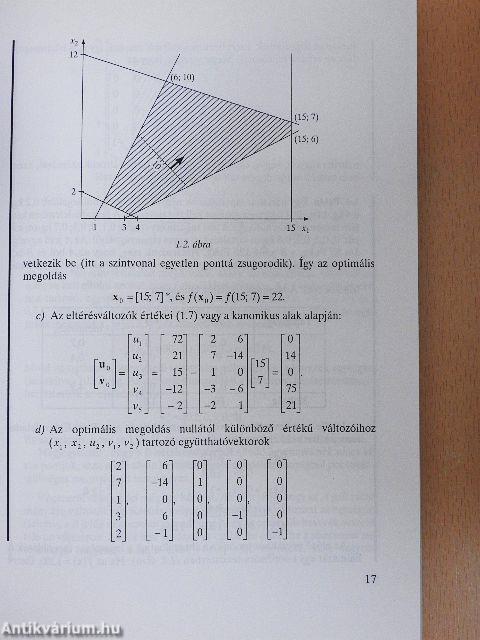 A gazdasági optimalizálás módszerei II.