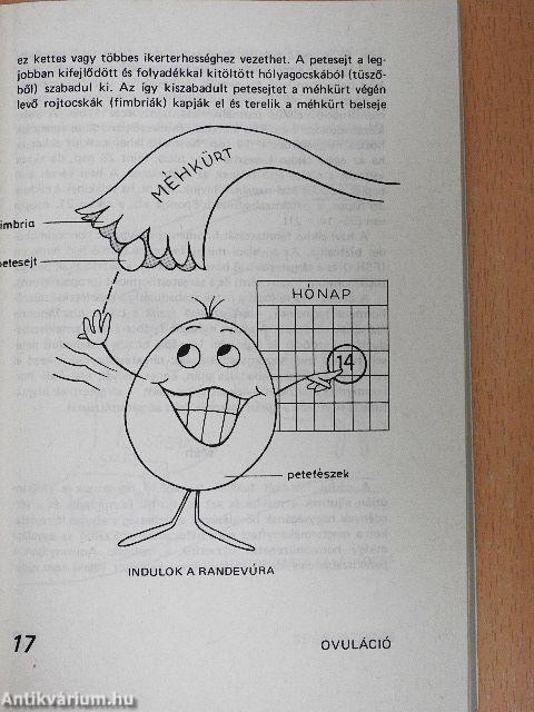101 kérdés a fogamzásgátló tablettákról