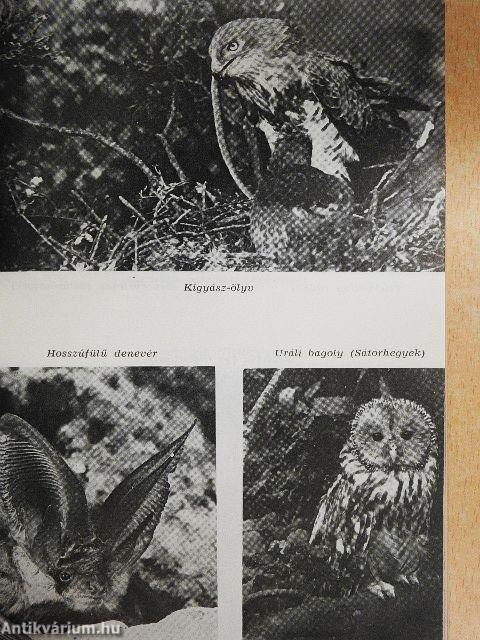 Magyarország védett területei