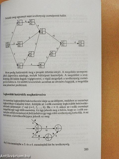 A gazdasági optimalizálás módszerei II.