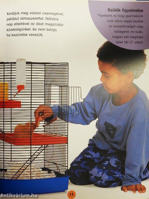 Aranyhörcsögök és futóegerek