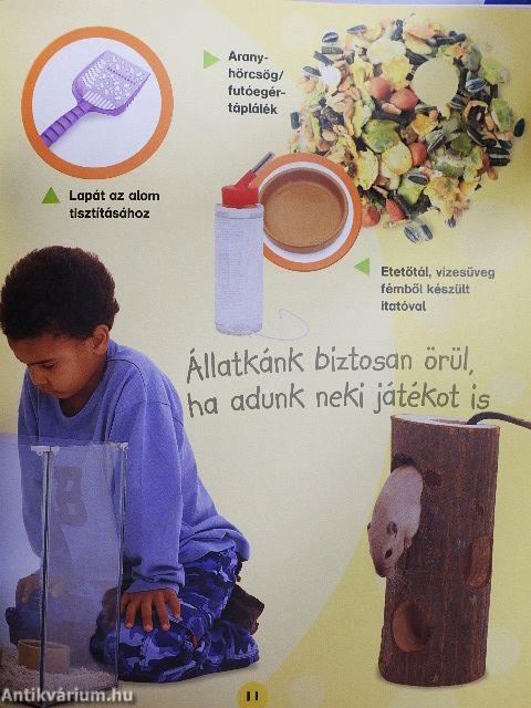 Aranyhörcsögök és futóegerek